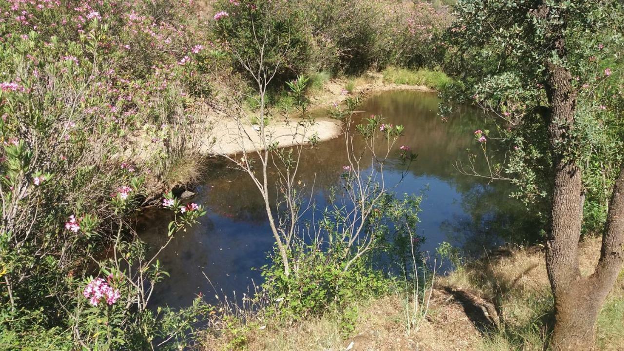 Вилла Agroturismo Flores Do Campo Vila Verde de Ficalho Экстерьер фото